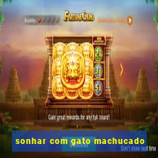 sonhar com gato machucado